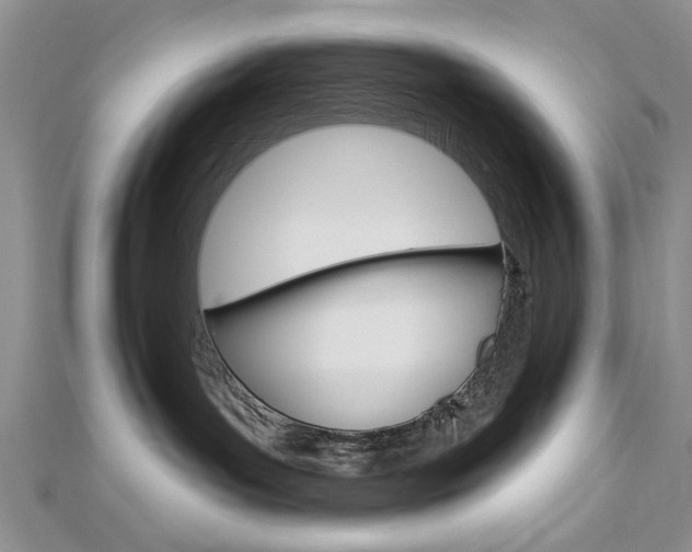 X0000113020143200908271042