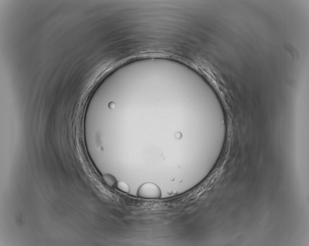 X0000113020145200908271041