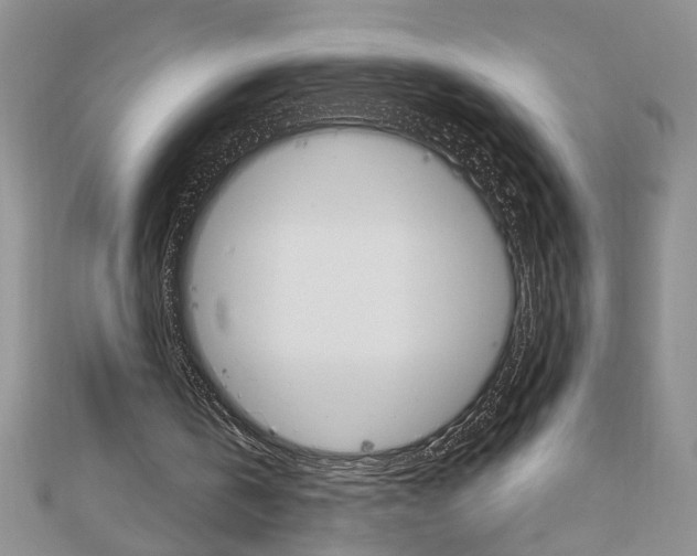 X0000113020146200908271041