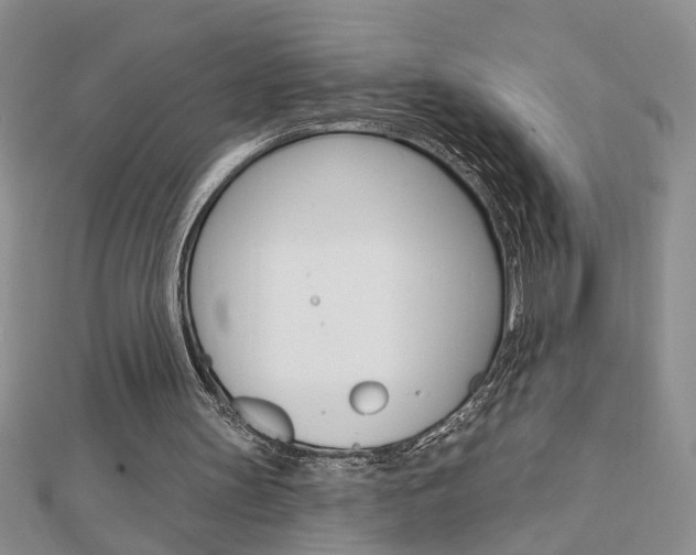 X0000113020147200908271041