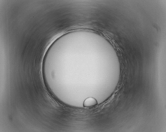 X0000113020148200908271041