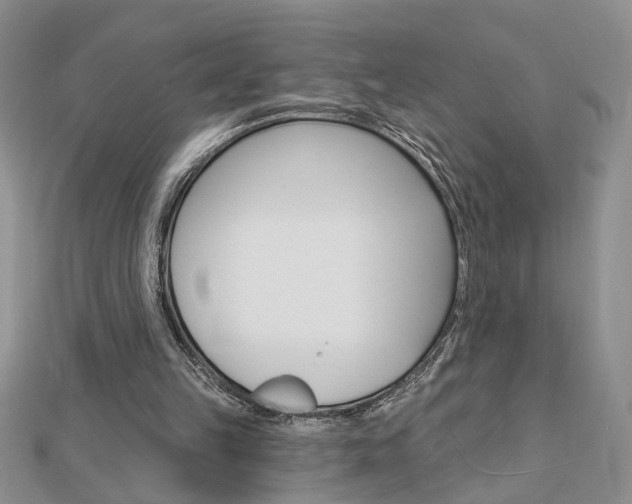 X0000113020149200908271041