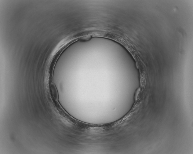 X0000113020150200908271041