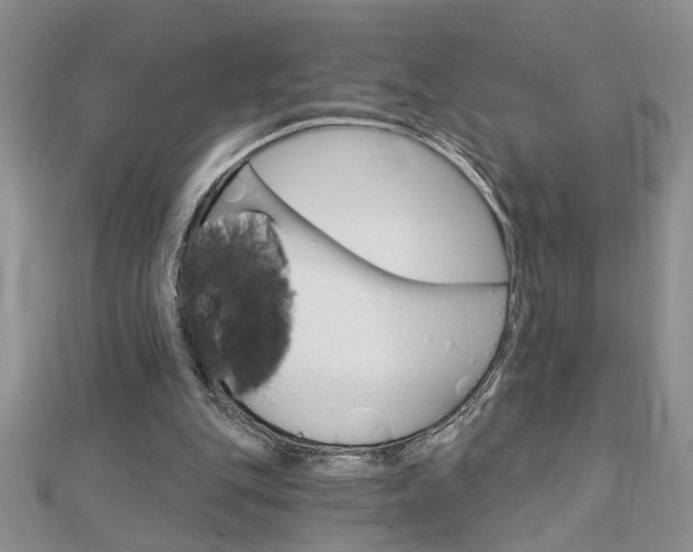 X0000113020151200908271041