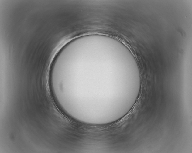 X0000113020152200908271041