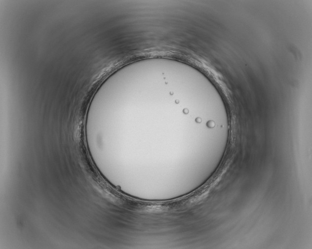X0000113020153200908271041