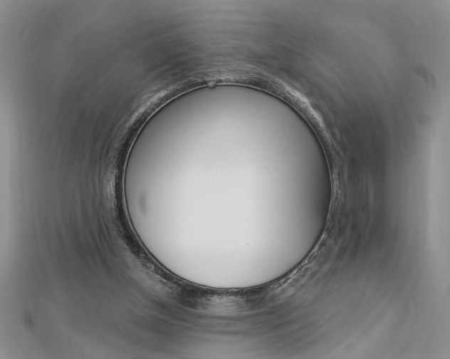 X0000113020154200908271041