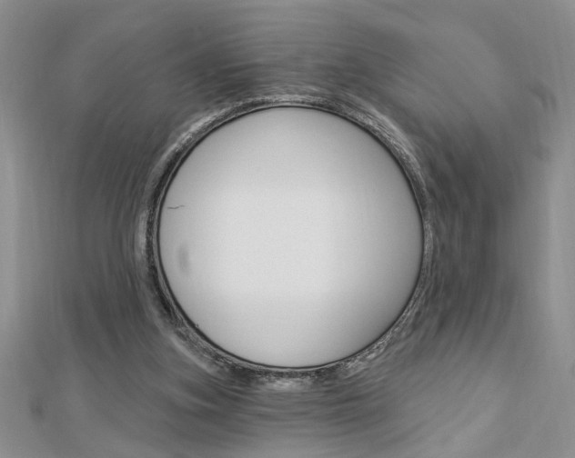X0000113020155200908271041
