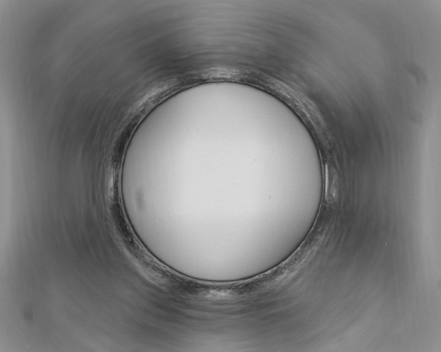 X0000113020157200908271041