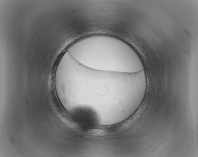 X0000113020159200908271041