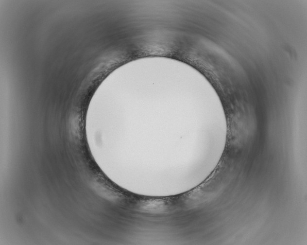 X0000113020162200908271041