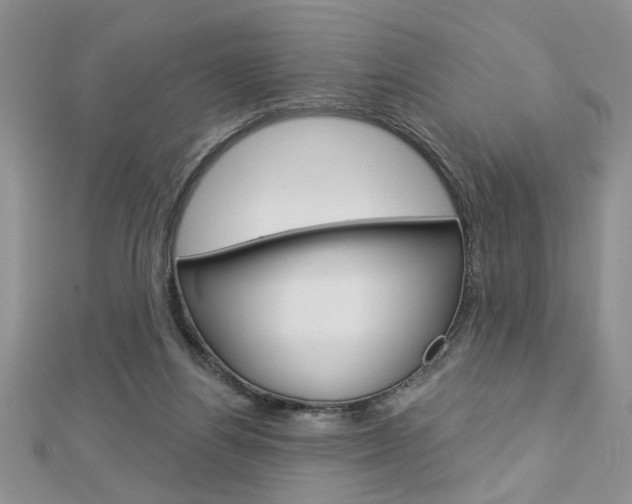 X0000113020164200908271041
