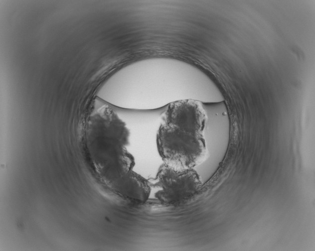 X0000113020165200908271041