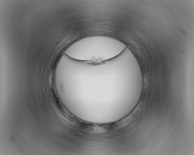 X0000113020166200908271041
