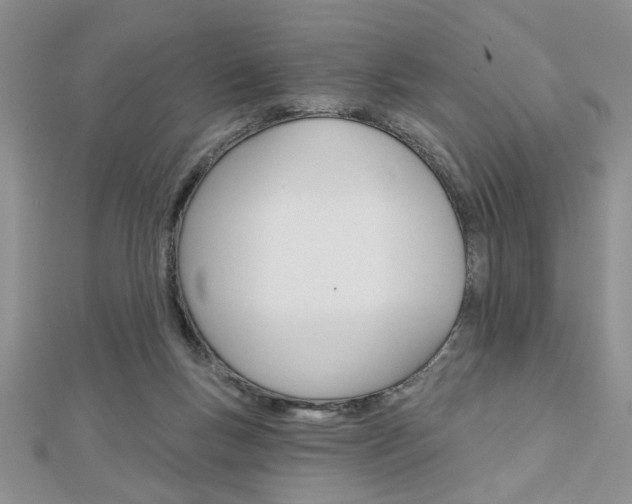 X0000113020167200908271041