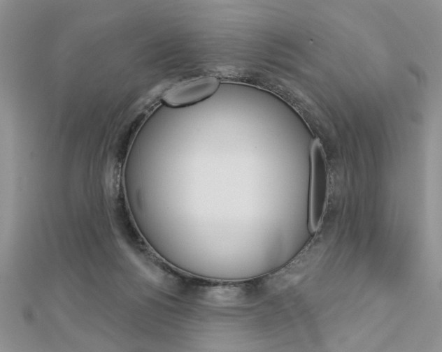 X0000113020168200908271041