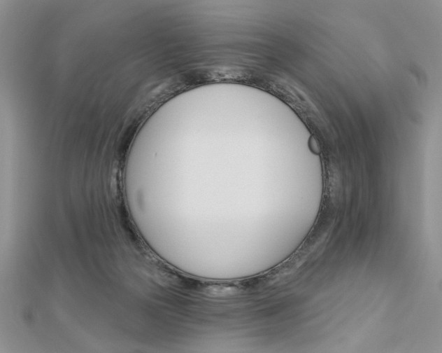 X0000113020169200908271041