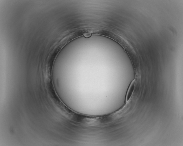 X0000113020170200908271041