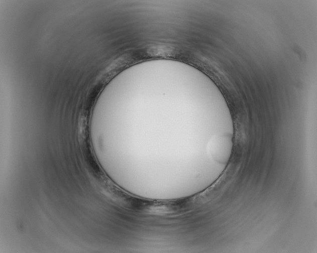 X0000113020171200908271041