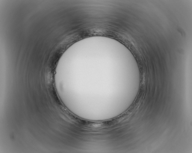 X0000113020173200908271041