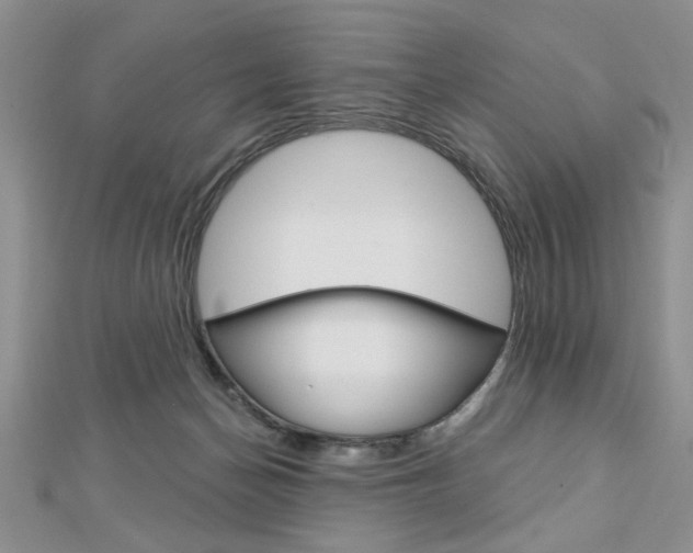 X0000113020174200908271041