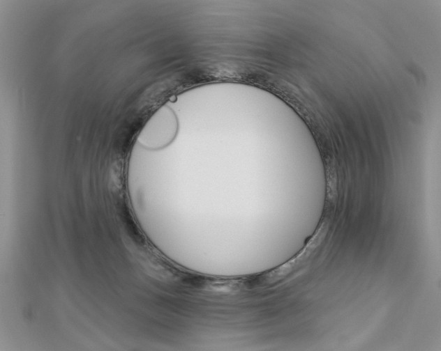 X0000113020175200908271041