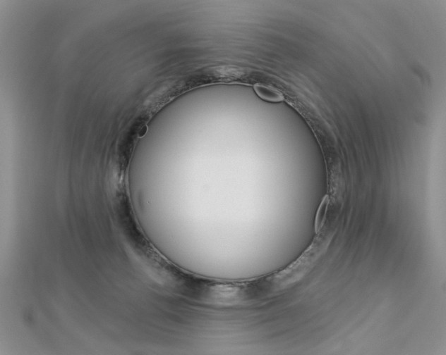 X0000113020176200908271041