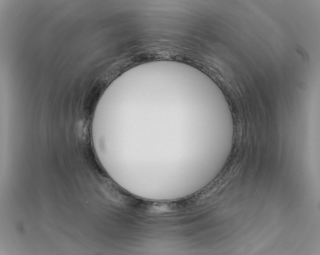 X0000113020177200908271041