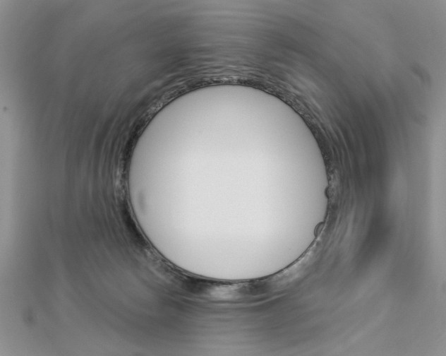 X0000113020178200908271041