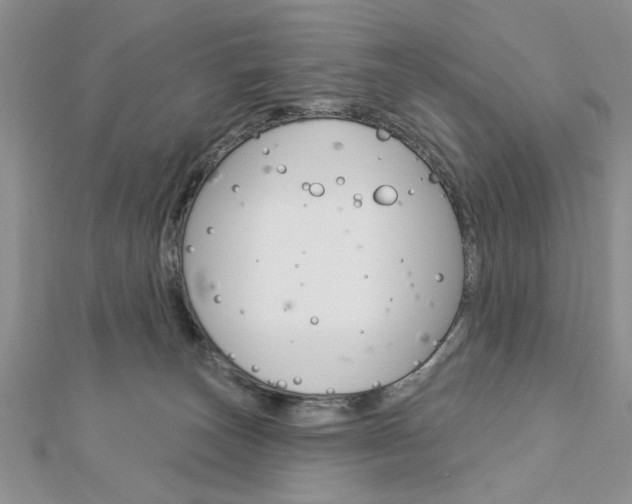 X0000113020179200908271041