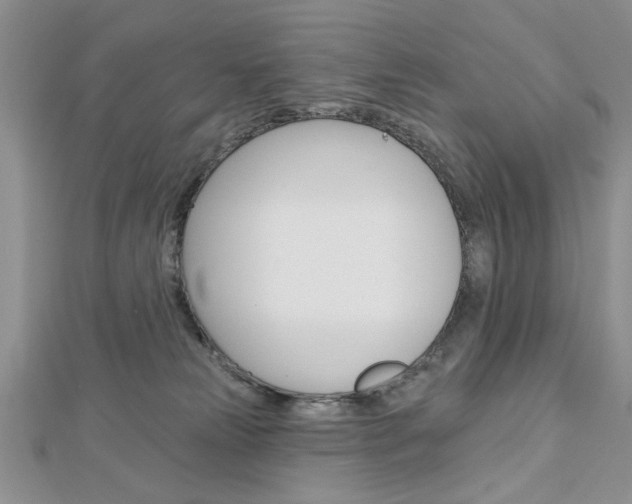 X0000113020181200908271041