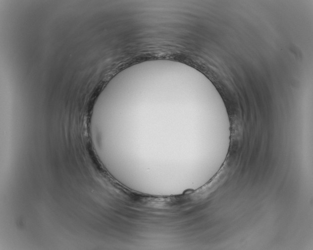 X0000113020182200908271041