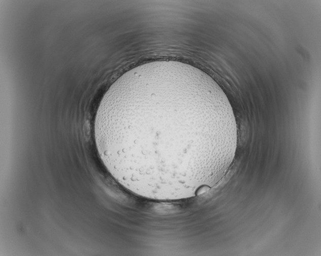 X0000113020183200908271041