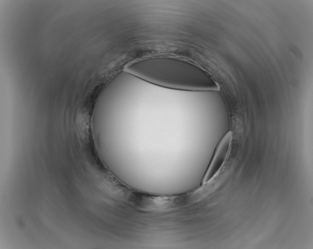 X0000113020184200908271041