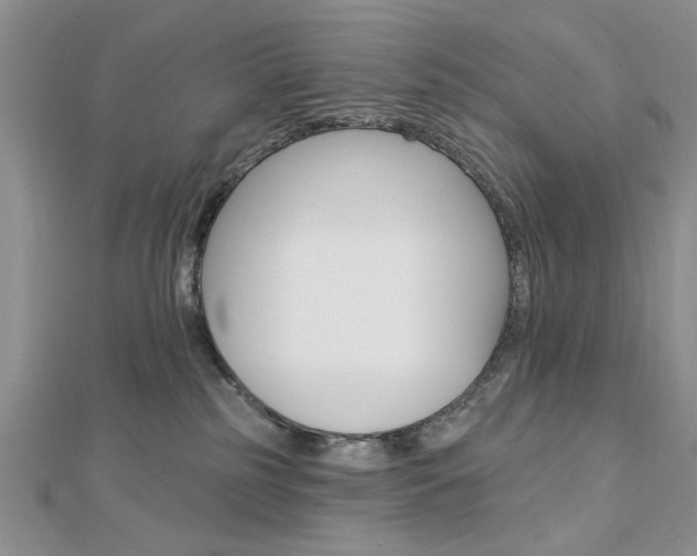 X0000113020185200908271041