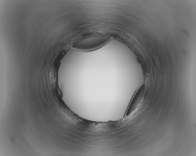 X0000113020186200908271041
