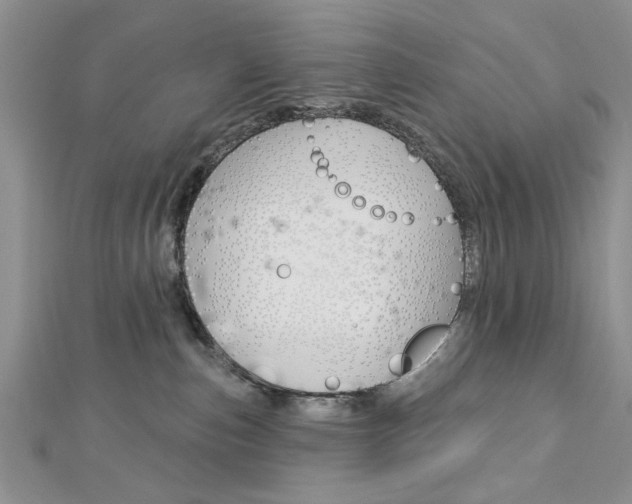 X0000113020187200908271041