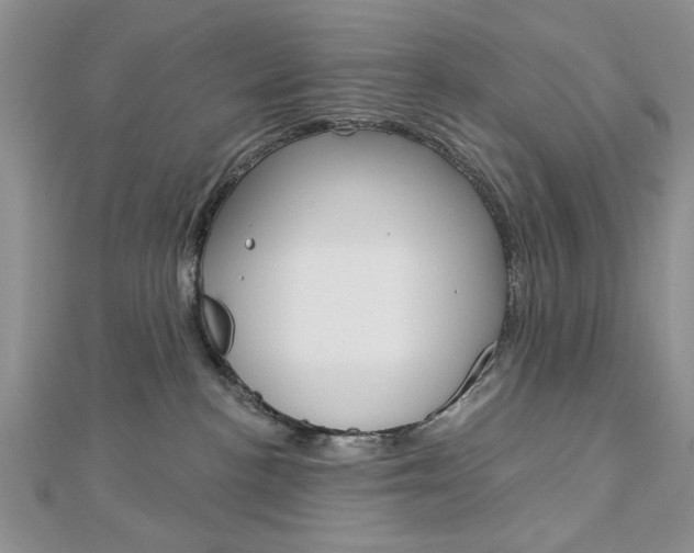 X0000113020188200908271041