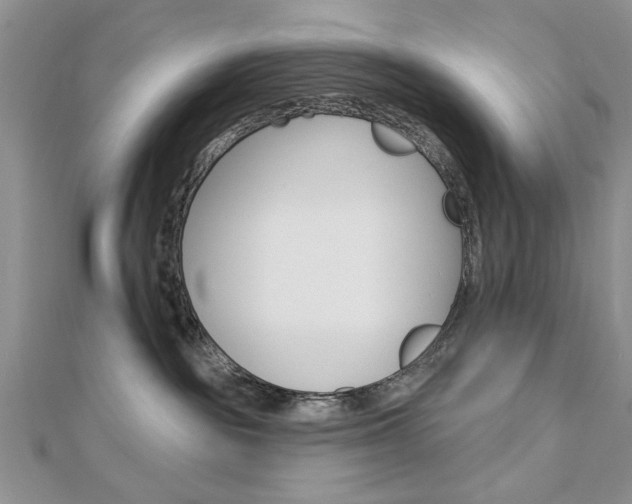 X0000113020189200908271042