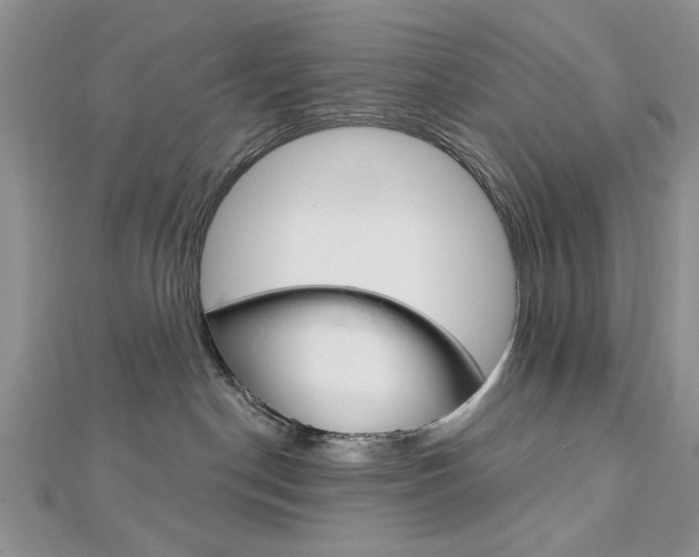X0000113020190200908271042