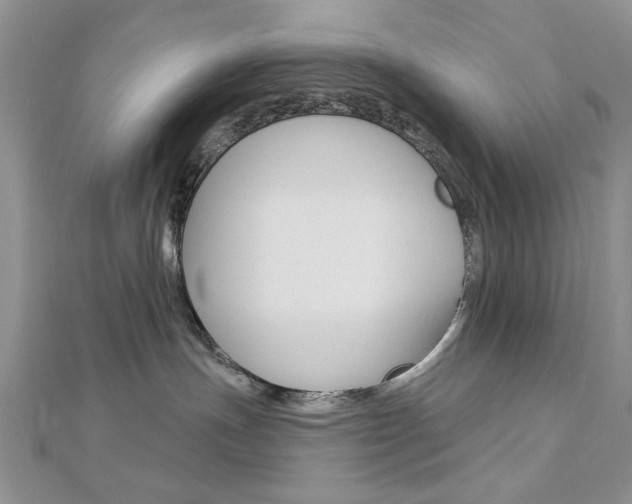 X0000113020191200908271042