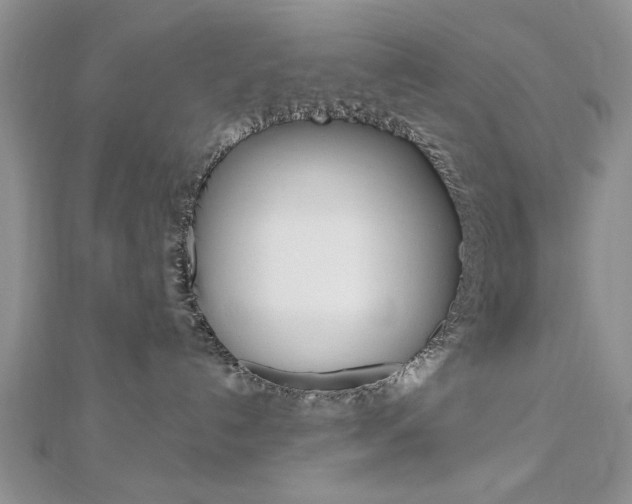 X0000113020192200908271042