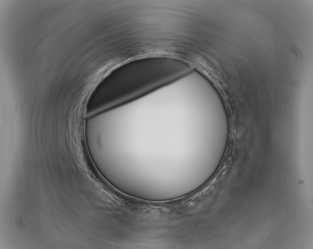 X0000113020193200908271041