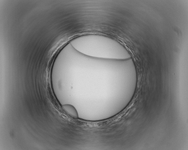 X0000113020194200908271041