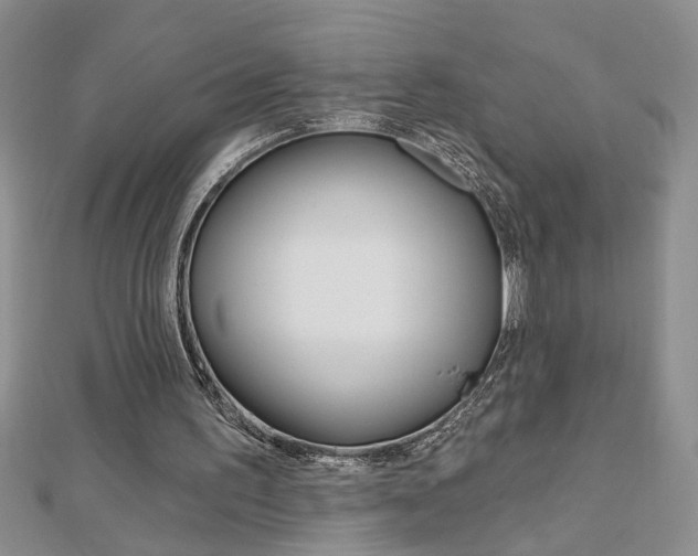 X0000113020195200908271041