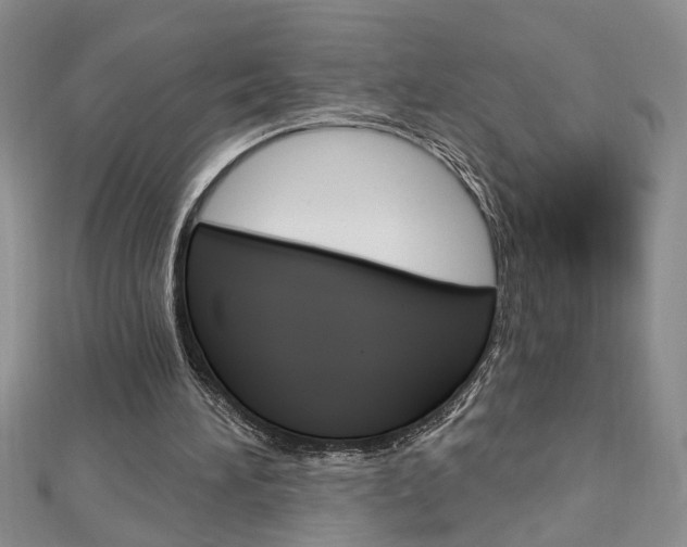 X0000113020196200908271041