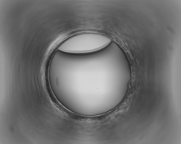 X0000113020197200908271041