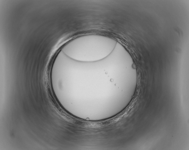 X0000113020198200908271041
