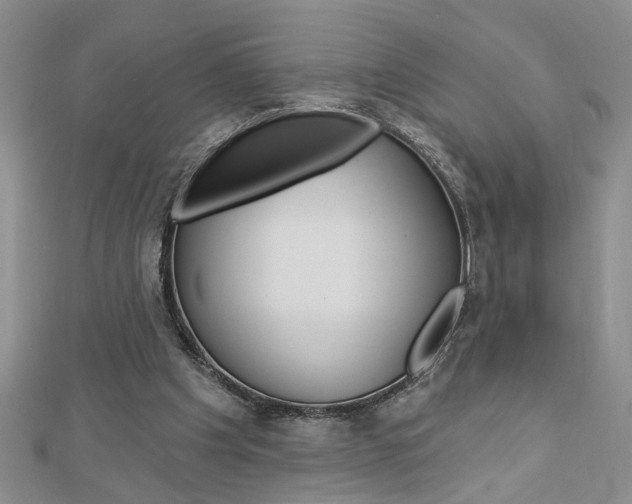 X0000113020201200908271041