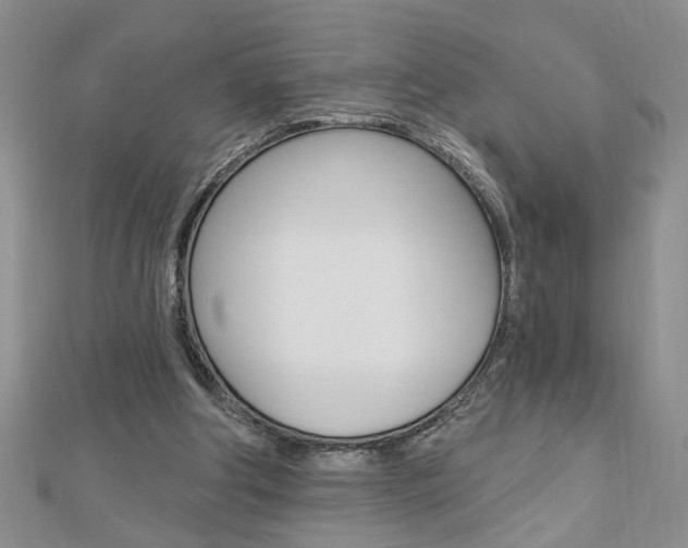 X0000113020202200908271041
